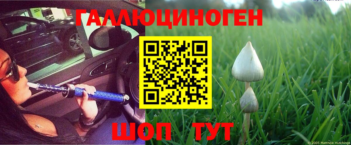 Нефтекамск  Псилоцибиновые грибы ЛСД  Вход с VPN 