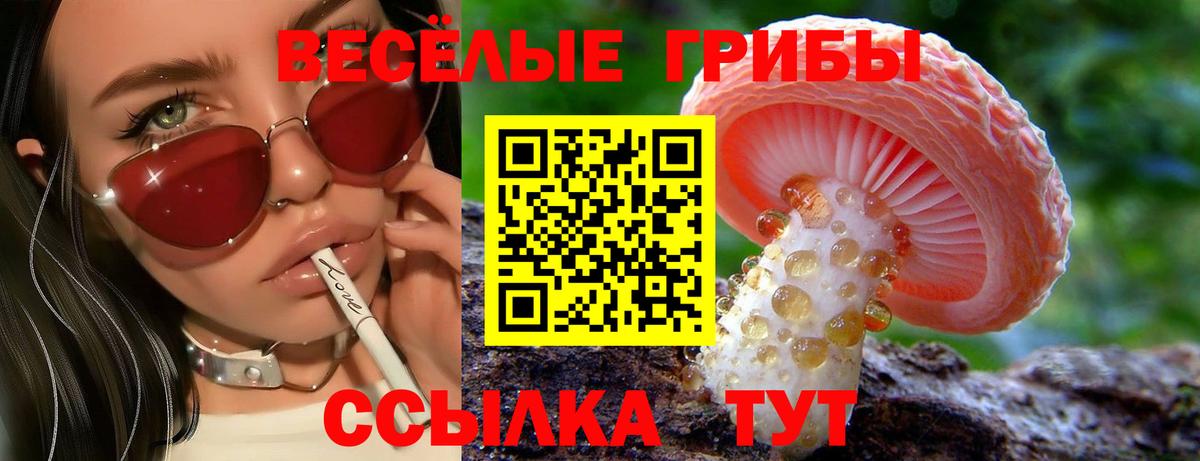 Псилоцибиновые грибы GOLDEN TEACHER Нефтекамск